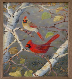 Cardinals In Birch By Terry Doughty